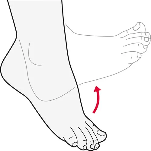 10 Easy Foot Exercises: Strengthen & Stretch for Better Health Foot Exercises